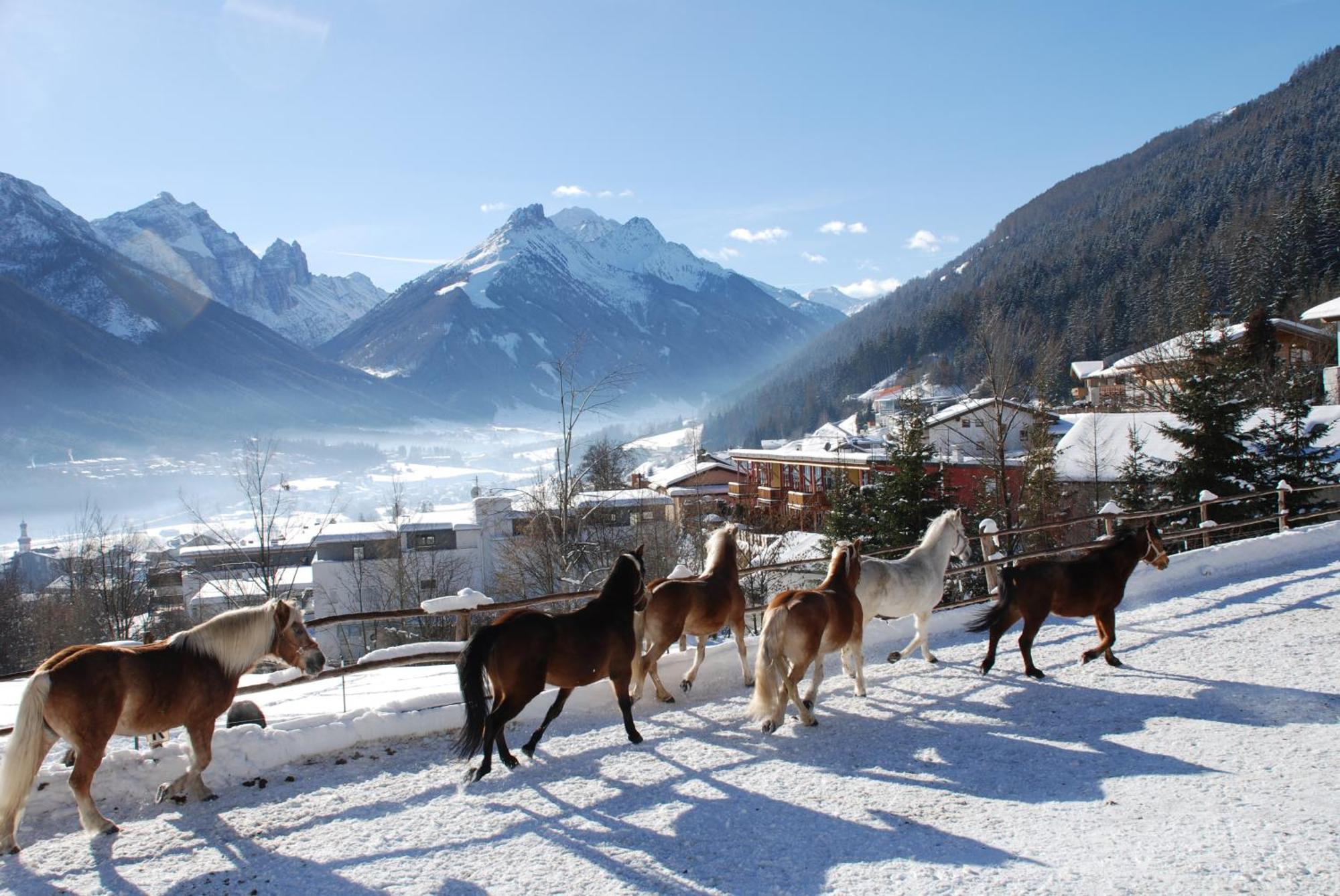 Apartment Kassnhof - Urlaub In Den Bergen Telfes im Stubai