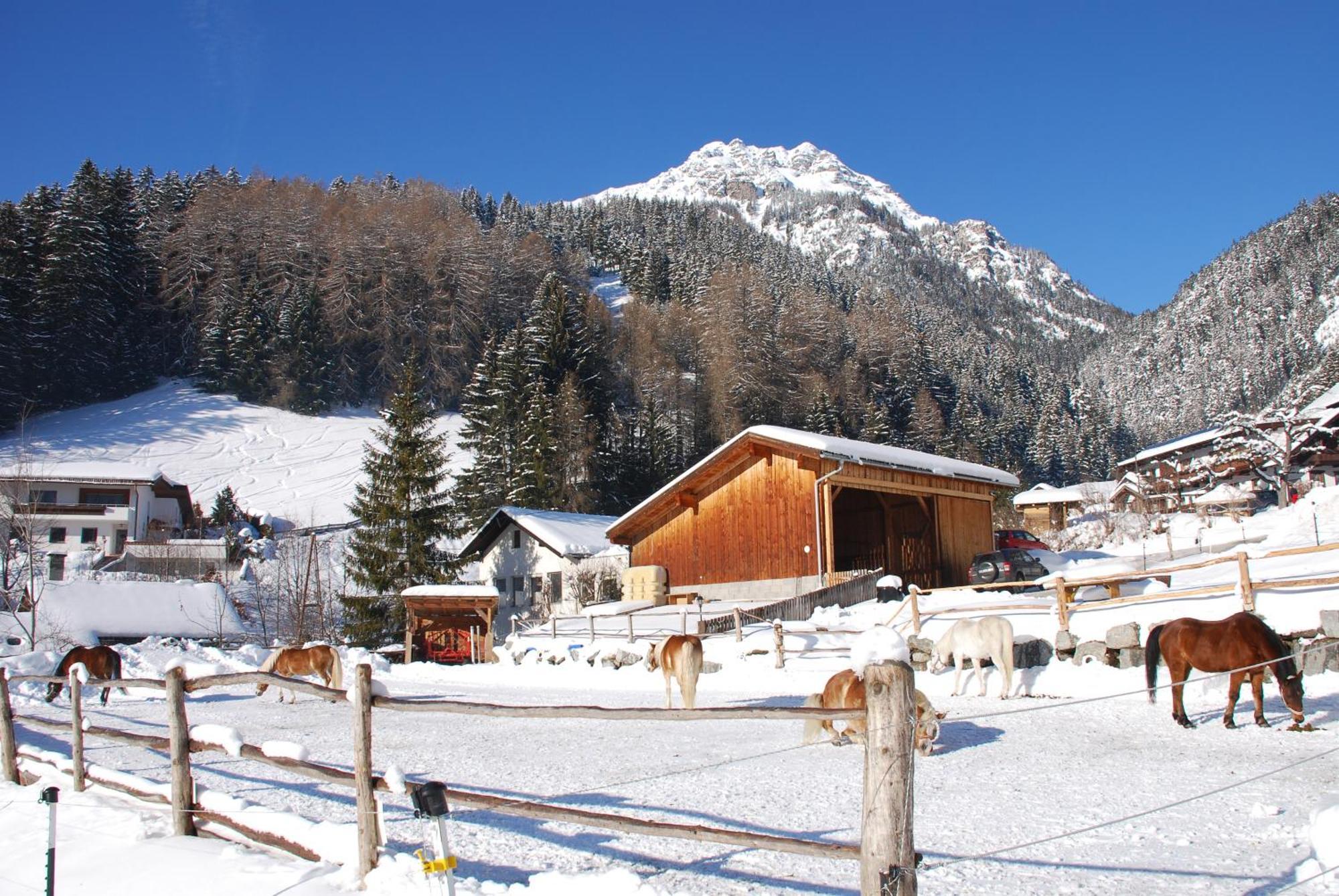 Apartment Kassnhof - Urlaub In Den Bergen